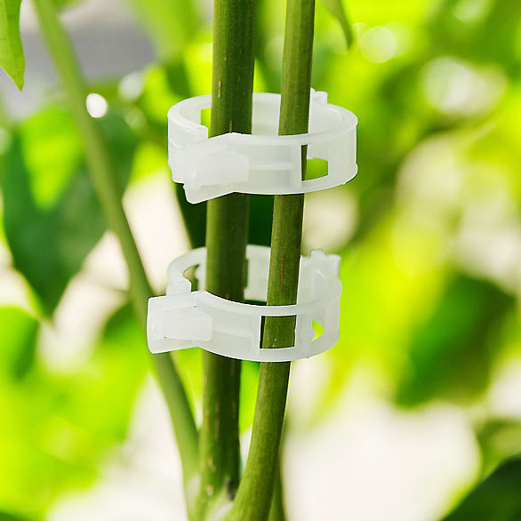 50pcs/100pcs Durable 30mm Plastic Plant Support Clips For Types Plants Hanging Vine Garden Greenhouse Vegetables Garden Ornament