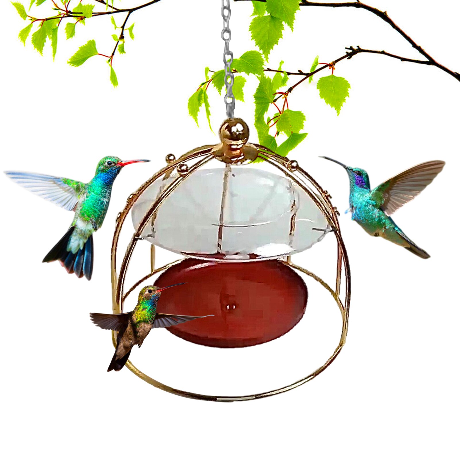 Dome Top Hummingbird Feeders Portable Exquisite PlasticsIron Humming Bird Feeders With Hook For Small Birds Courtyard Bird