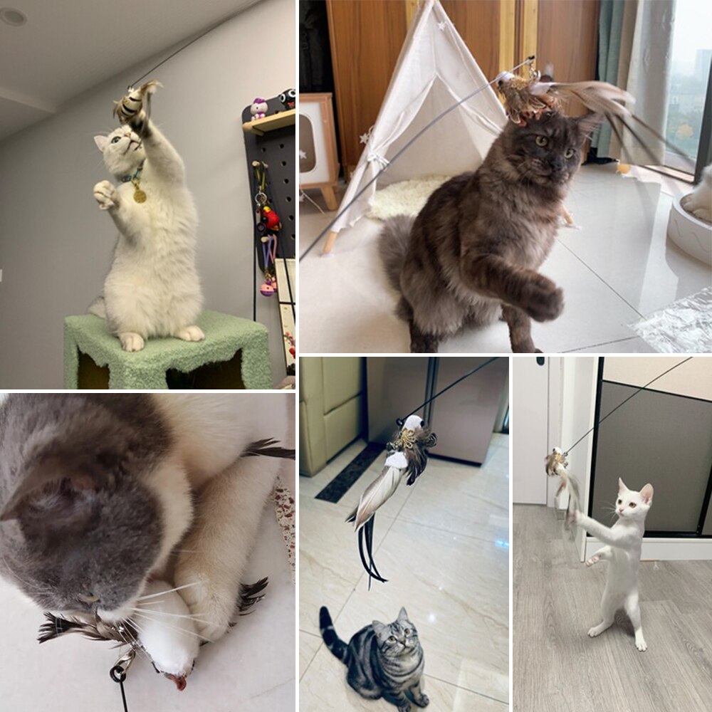 Simulatie Vogel Kat Speelgoed Interactieve Grappige Veer Vogel Met Bell Sucker Kat Stok Speelgoed Katje Spelen Teaser Wand Speelgoed Voor katten