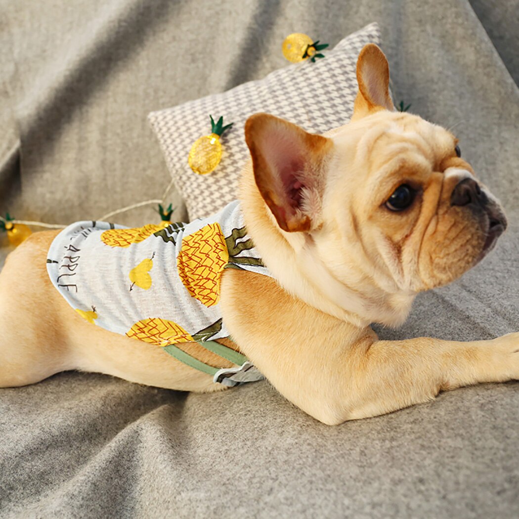 Kamizelka dla szczeniaka śliczne fajne oddychająca kamizelka dla psa koszula dla buldoga francuskiego corgi odzież dla zwierząt kot strój ubrania dla psów dla małych zwierząt domowych