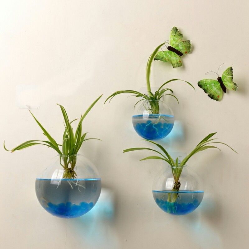 Hem naturliga blomvaser vägghängande grön växt hängande glasvas växtkrukor vägg akvarium akvariebehållare homw dekor