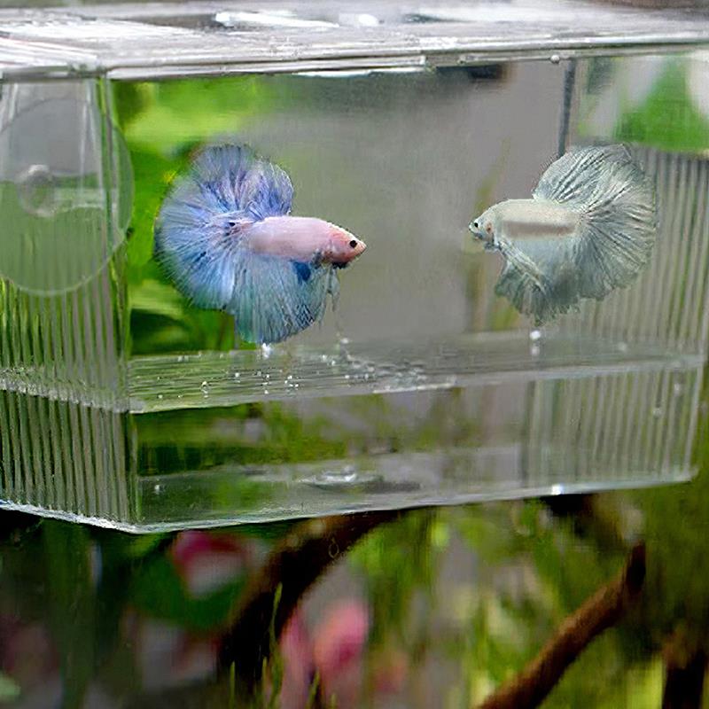 Aquarium Kleine Bak Fokken Doos Transparant Acryl Aquarium Fokken Isolatie Doos Aquarium Broederij Incubator Houder