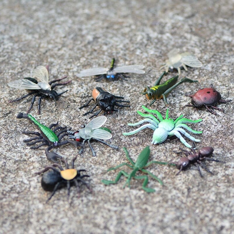 8Pcs/12Pcs Simulatie Statische Insect Model Ornamenten Set Realistische Vlinder Speelgoed