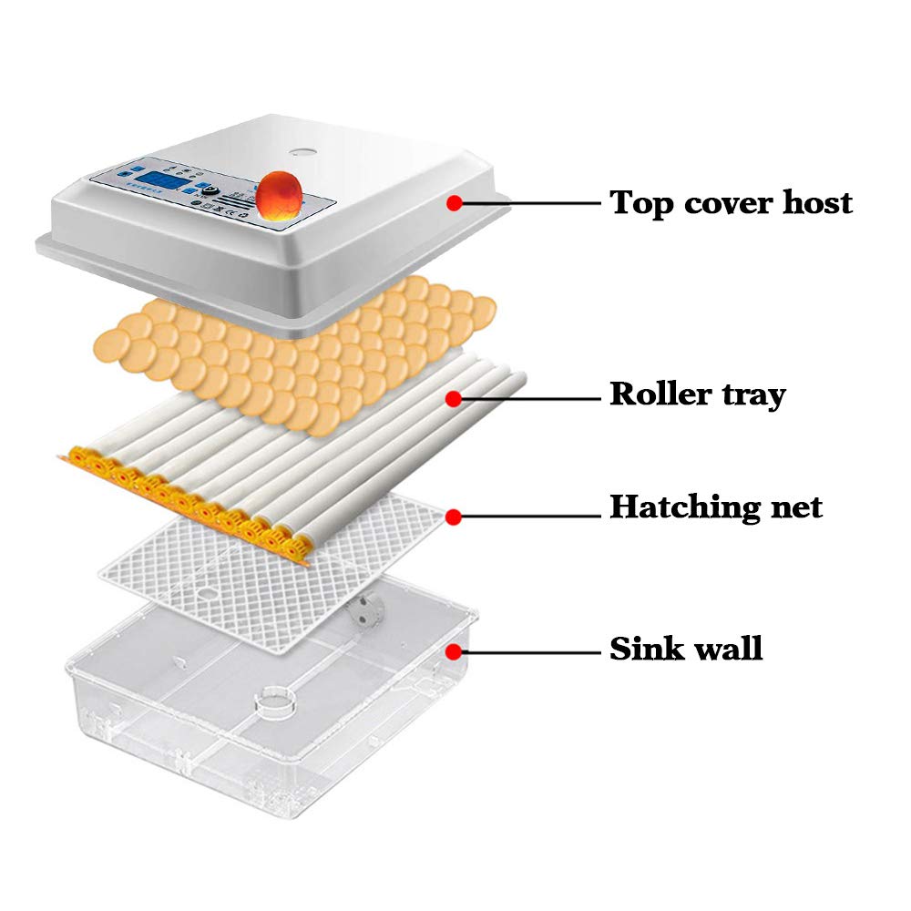 Poultry Hatchery Machine Hatching Eggs 16 Mini Brooder Small Chicken Bird Egg Incubator Hatchers for Quail Parrot Duck Pigeon