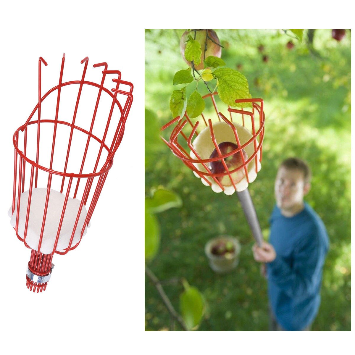 1pc Aluminum Fruit Picker Basket Fresh Orange Apple Plum Pear Peach For Broom Pole Stick Fruit Collector Gardening Picking Tool