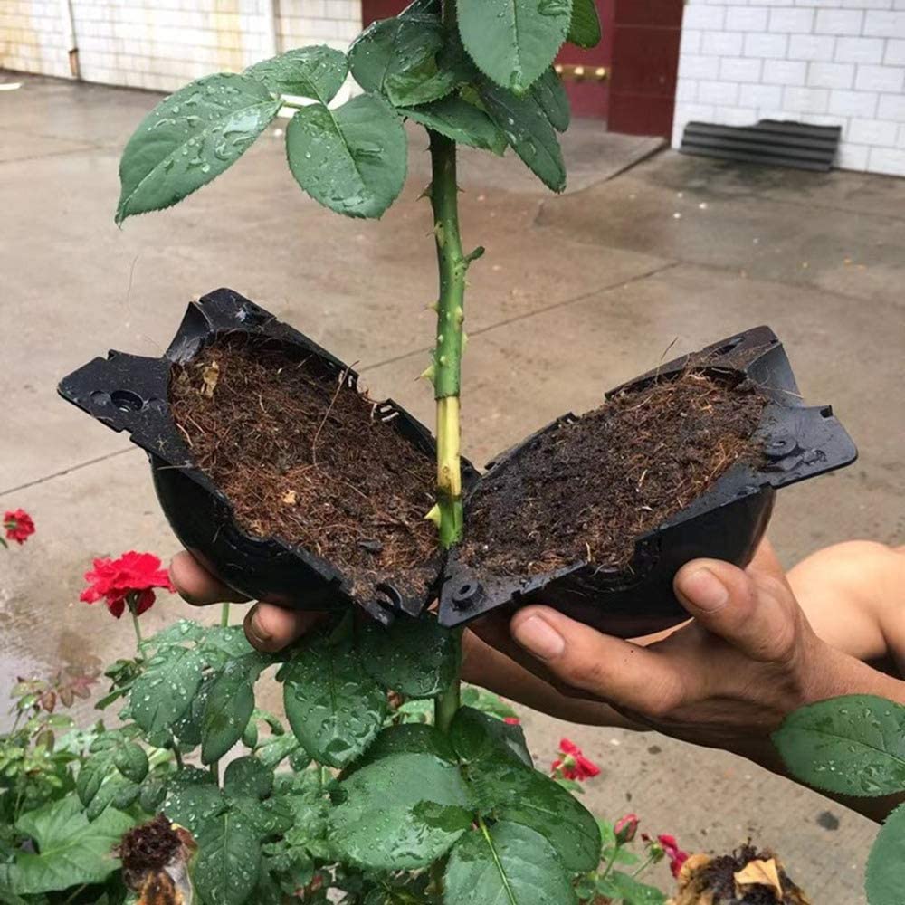10pcs 5CM Plant Rooting Device Propagation Ball Reusable Grafting Cube Breeding Box Seeding Hydroponic Media