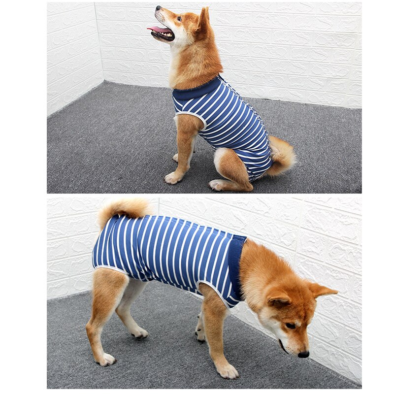 Huisdier Sterilisatie Chirurgie Pak Hond T-shirt Hond Vest Kleding Voor Kleine Honden Franse Bulldog Puppy Kat Pak Kleding