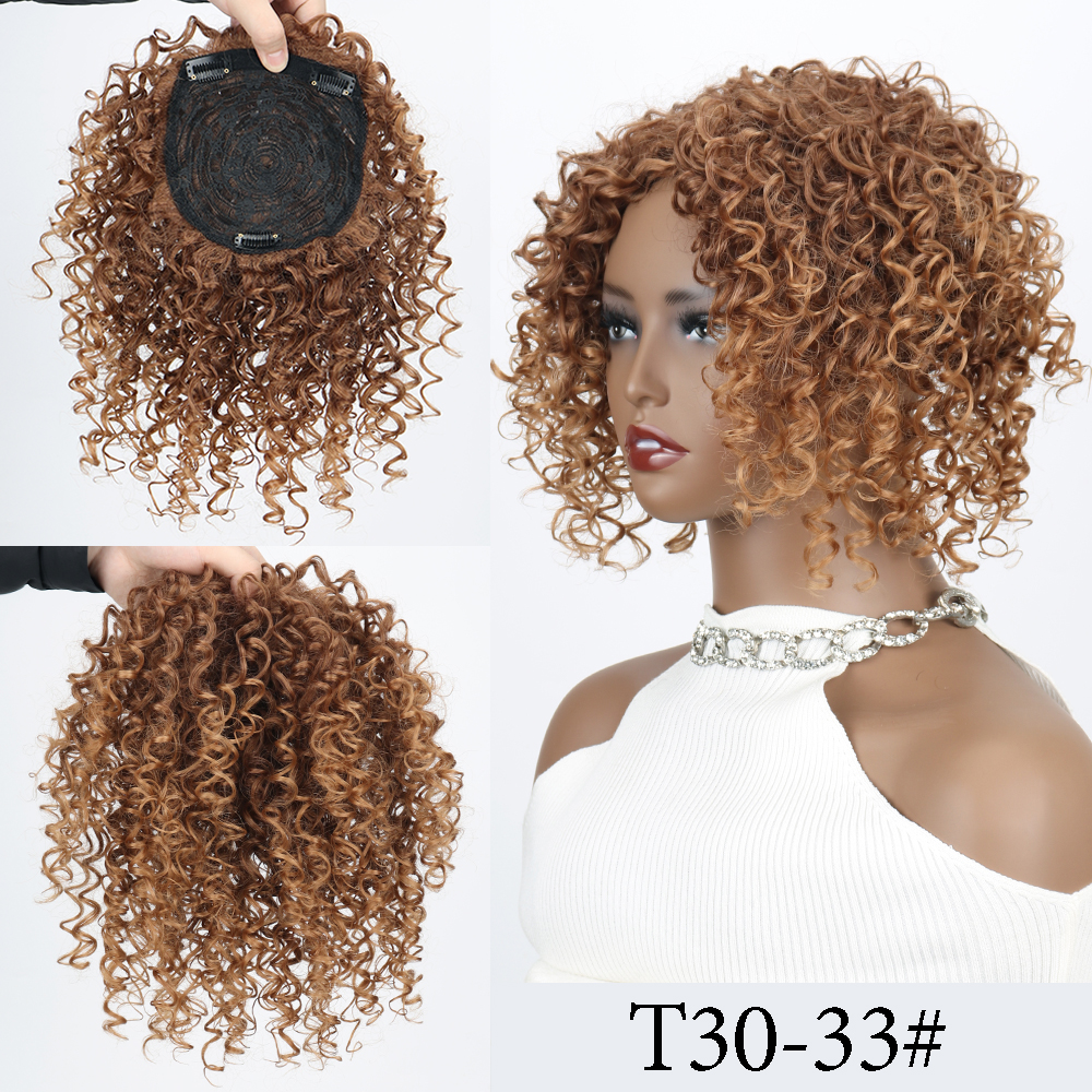 Synthetic Short Afro Kinky Curly Hair Toppers Hair Pieces Wigs for Black Women With Thinning Hair Topper Increase Hair Volume: 1B/27HL