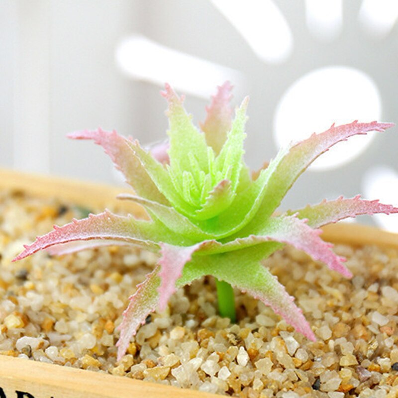 1Pc Groen Paars Rood Massaal Kunstmatige Vetplanten Planten Tuin Decoratie Bloemstuk Badkamer Accessoires Plant: Style45