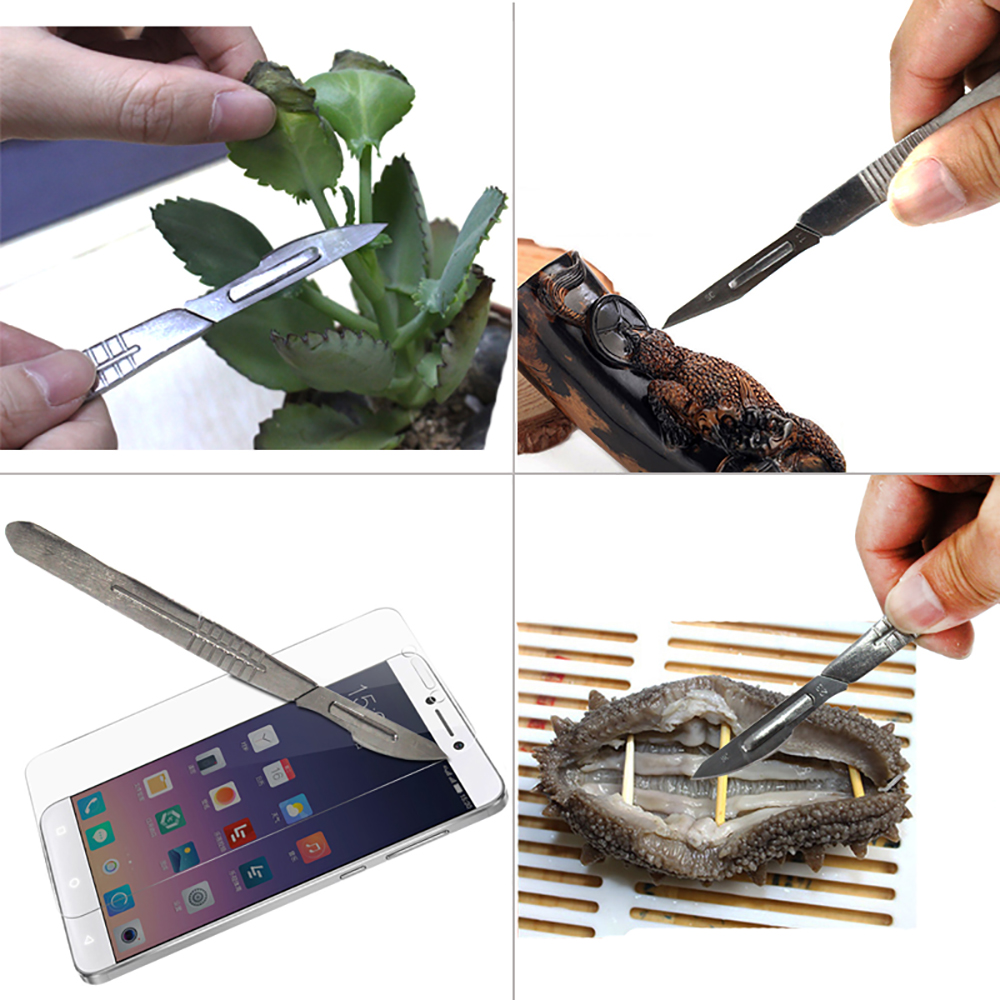 Bisturí quirúrgico de acero inoxidable con cuchillas de 10 piezas 11 # 23 # Caja de almacenamiento con mango de Metal extraíble para injerto de plantas, tallado, reparación DIY