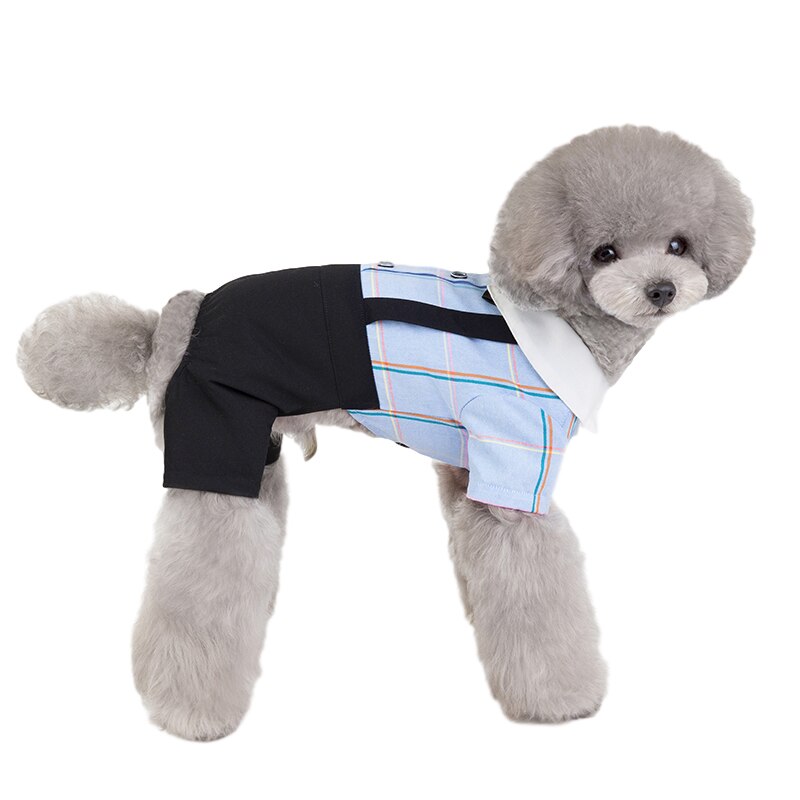 Tassband söt hund jumpsuit kostym husdjur student uniform liten hund kläder mjuk valp kjol hund klänning husdjur kläder för hund ropa perro