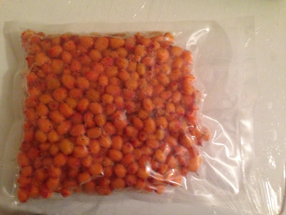 Dry and Liquid Food Vacuum Sealer Packaging Machine Semi-automatic Vacuum Packer 110V-220V with Vacuum Bags Green