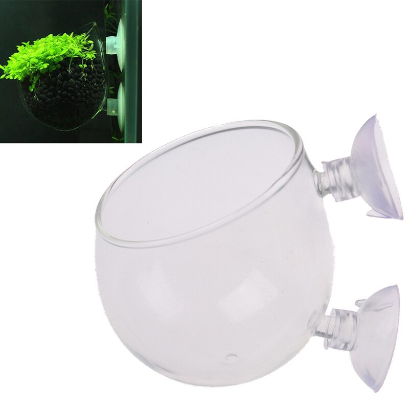 Fish Tank Mini Crystal Glass Pot Water Potted Aquatic Planting Cylinder Cup