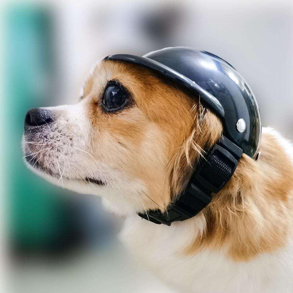 Neue Haustier Helm Hunde Motorrad Helm Hund Katze Zubehör Hund Spielzeug Hütte Headwear cool draussen Haustier Schützen