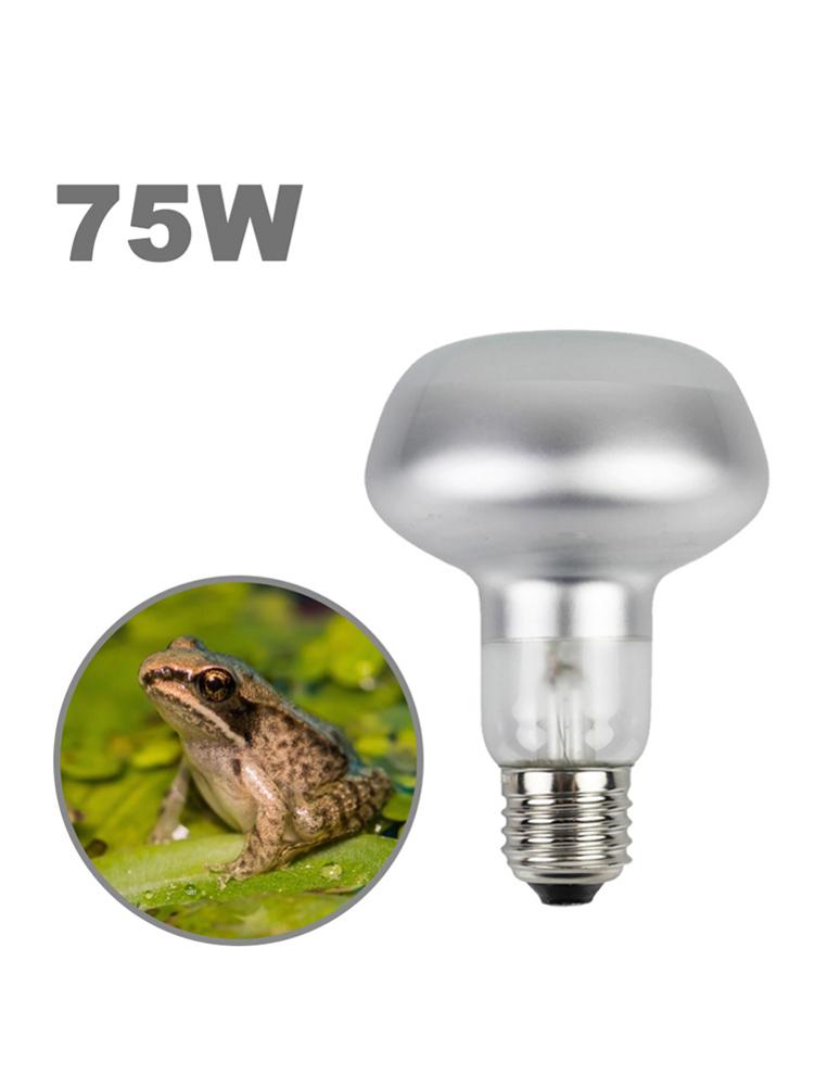 Reptile Anti Scald Lampshade Ceramic Heating Bulb Lamp Holder Protector Cage For Pet Snake Lizard Turtle
