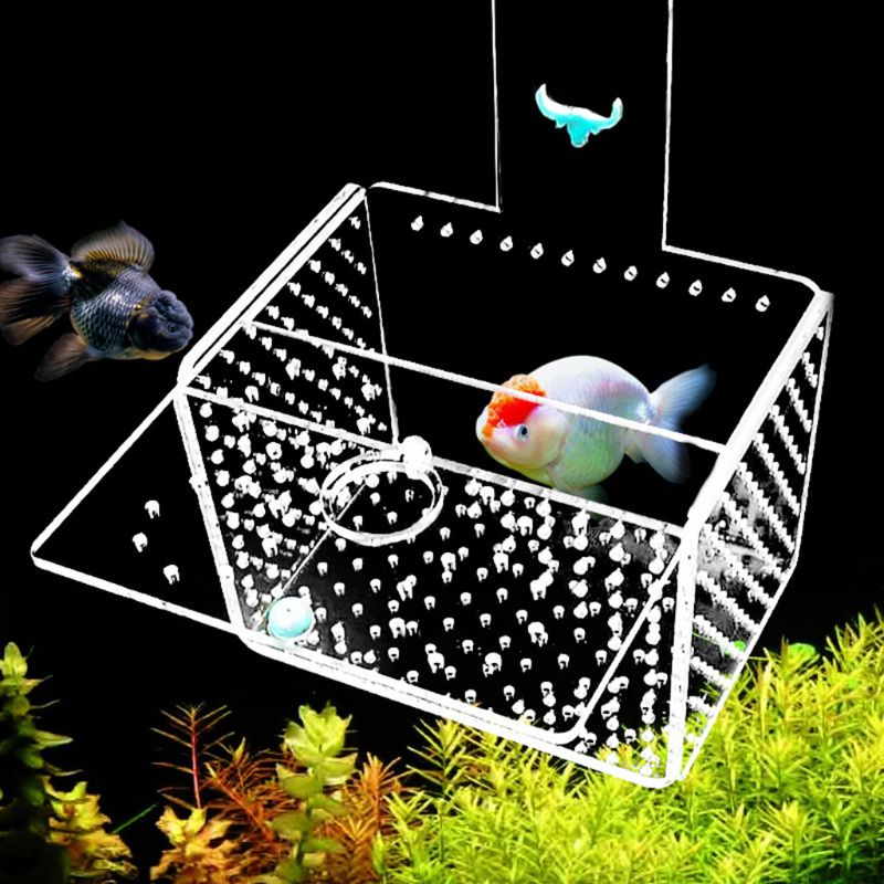 Acrylic Fish Tank Isolation Box Rearing Box Hanging Aperture 1mm / 3mm Home Aquarium Decor Fishes Transparent Clear Water Box