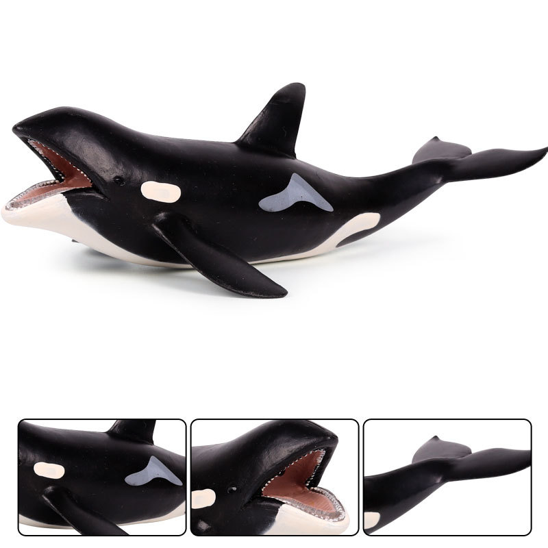 Large Killer Whale Grampus Orca Figure Miniature Sea Animal Model Simulation Marine Animal Fish Model Kids Toy Decor