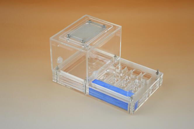 Ant Housing Nest Insect Cage Farms Feed Plastic Acrylic Display Trapezoid Box Ant Villa Nest Small Pet Cages Transparent Wood