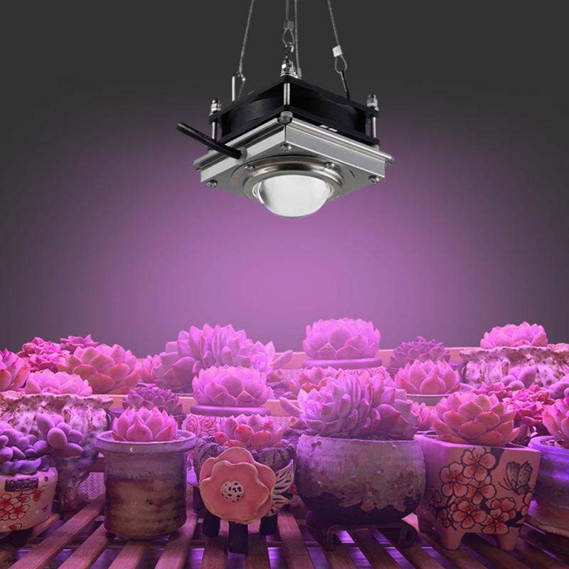 Hydroponic Veg Plant Full Spectrum COB Plant Growth Light 50W LED Greenhouse Vegetables Succulent Fill Light