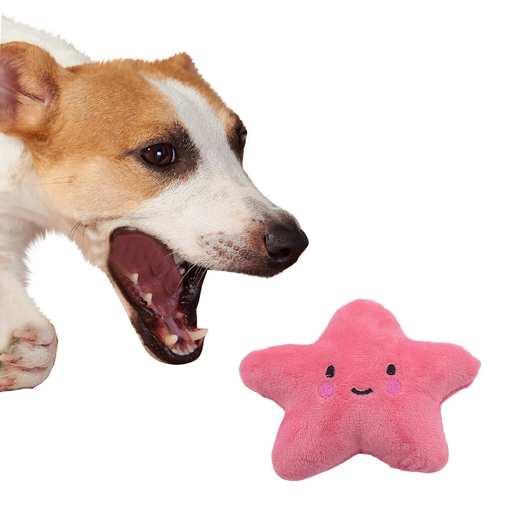 Jouets en peluche de dessin animé interactif | Animal de compagnie, étoile en peluche, entraîneur Vocal, chien BB fort, jouets à mâcher, chien de compagnie, pièces, directe Z618