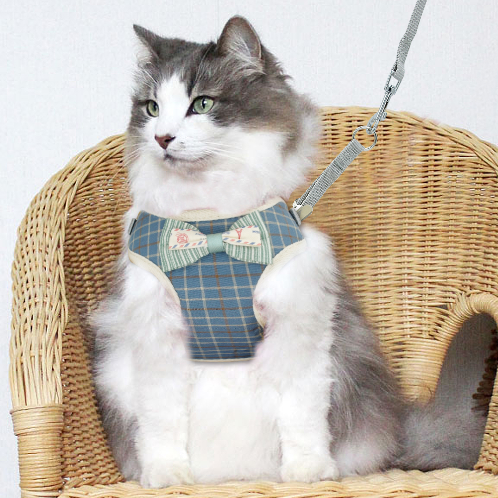 Bonito conjunto de arnés y correa para gatos, arnés de perrito de malla de nailon para mascotas, chaleco de ropa con Collar de gato de plomo para gatos pequeños, suministros para perros y gatitos para mascotas