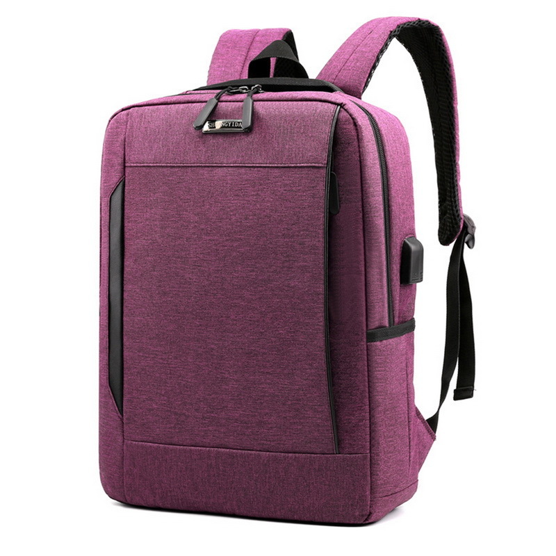 Puimentiui mochila para hombre, mochila para ordenador portátil, mochila de viaje, mochila de gran capacidad para negocios, bolsas de colegio con carga USB: Purple E