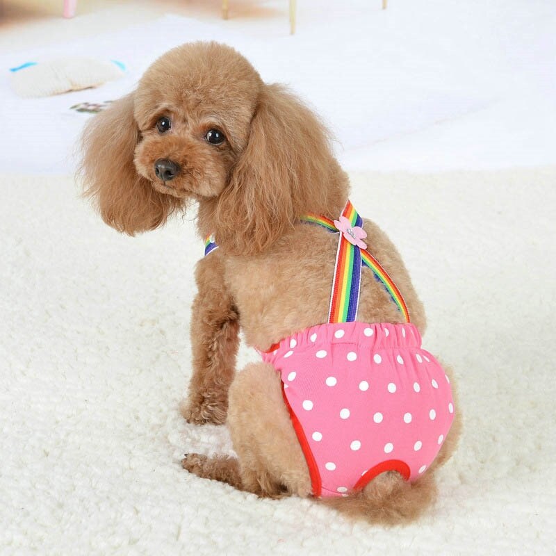 Short de chien hygiénique de | Joli Short pour chien, pantalon court pour chien physiologique, sous-vêtements confortables, pantalon pour chiot féminin pour animaux de compagnie