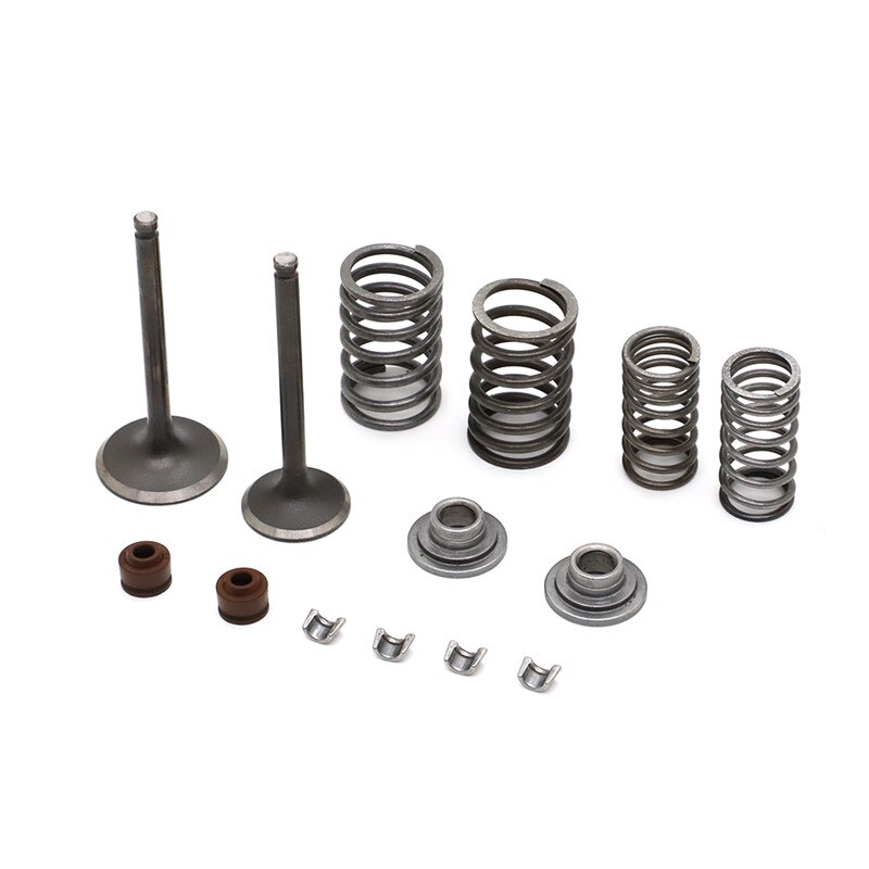 CYLINDER VALVES KIT for CHINESE SSR ROKETA COOLSTER TAOTAO TRUE 125CC ATV DIRT BIKE 125 cc Engine