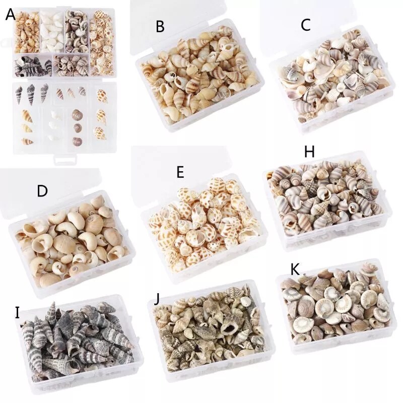 100 PCS Boxed Natural Conch Shells Mini Conch Corn Screw Wall Decoration DIY Aquarium Landscape Seashells Jewelry DIY Craft
