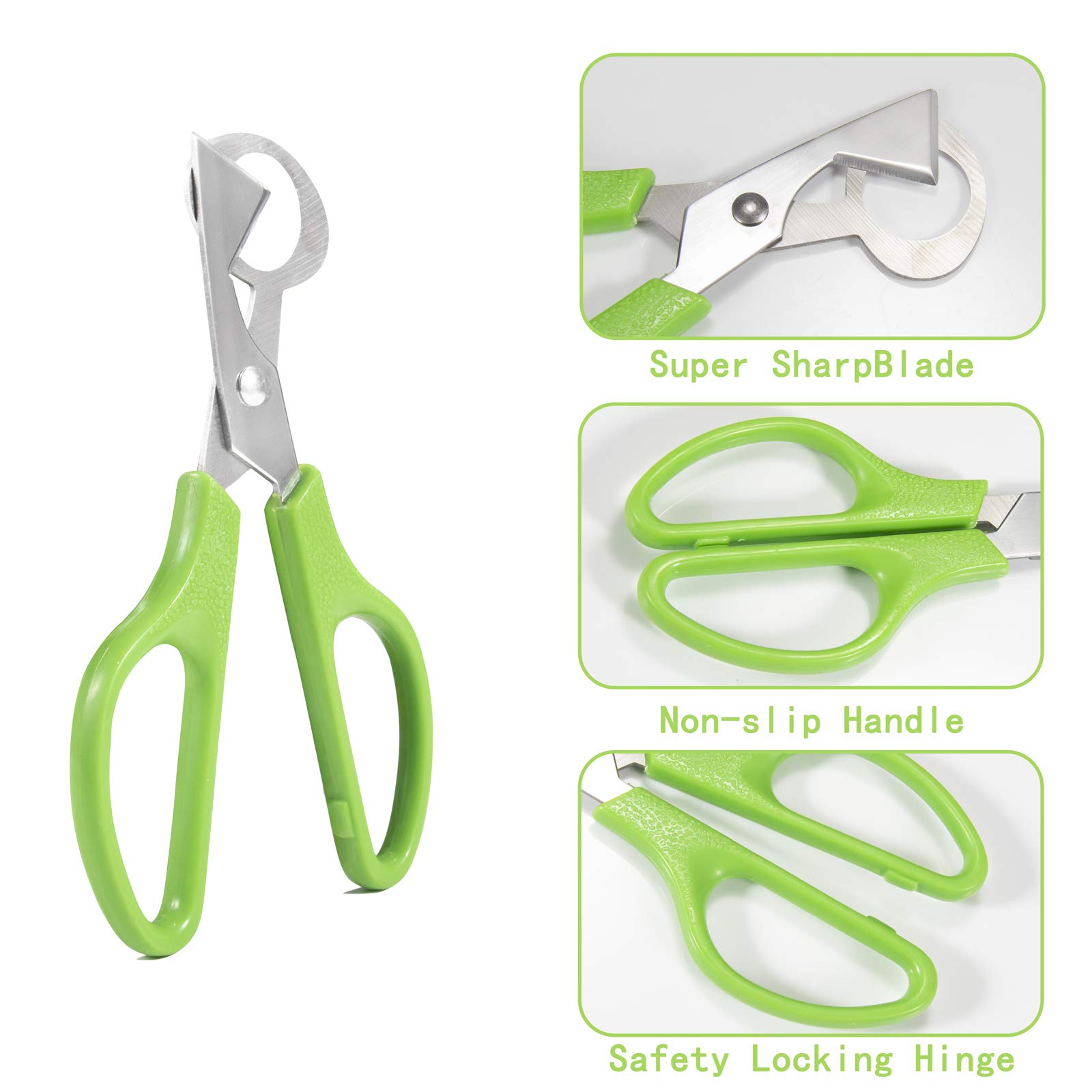 Kwarteleitje Schaar Metalen Cutter Shell Opener Roestvrijstalen Gekookt Ruwe Ei Scharen Keuken Gereedschap Accessoires Voor Vogel, Duif