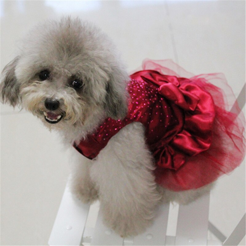 Vestidos de princesa para perros, ropa de perro de colores de alta luminosidad, vestido de princesa con tutú y lazo, falda para de boda, ropa para mascotas, superventas