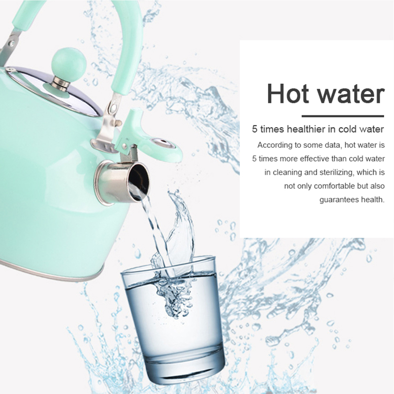 Bouilloire en acier inoxydable 2.5L Portable épaissi couleur intestinale dôme plat cuisinière à gaz bouilloire ménage maison cuisine moderne chaude