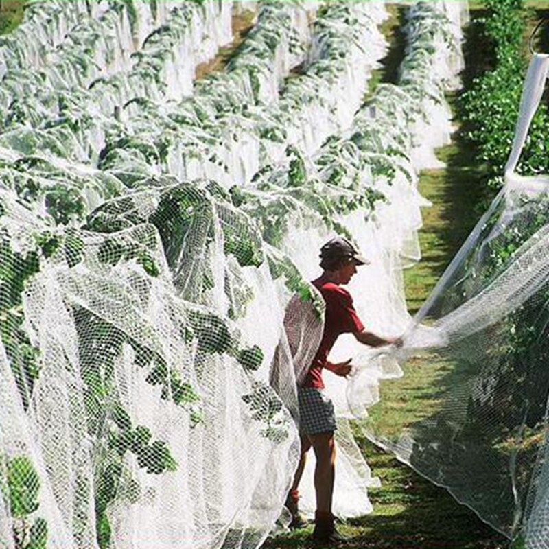 1m Anti-bird Net Fruit Tree Grape Protection Netting Plant Care Covers Crops Fish Aquaculture Protection Net Airport Bird-proof