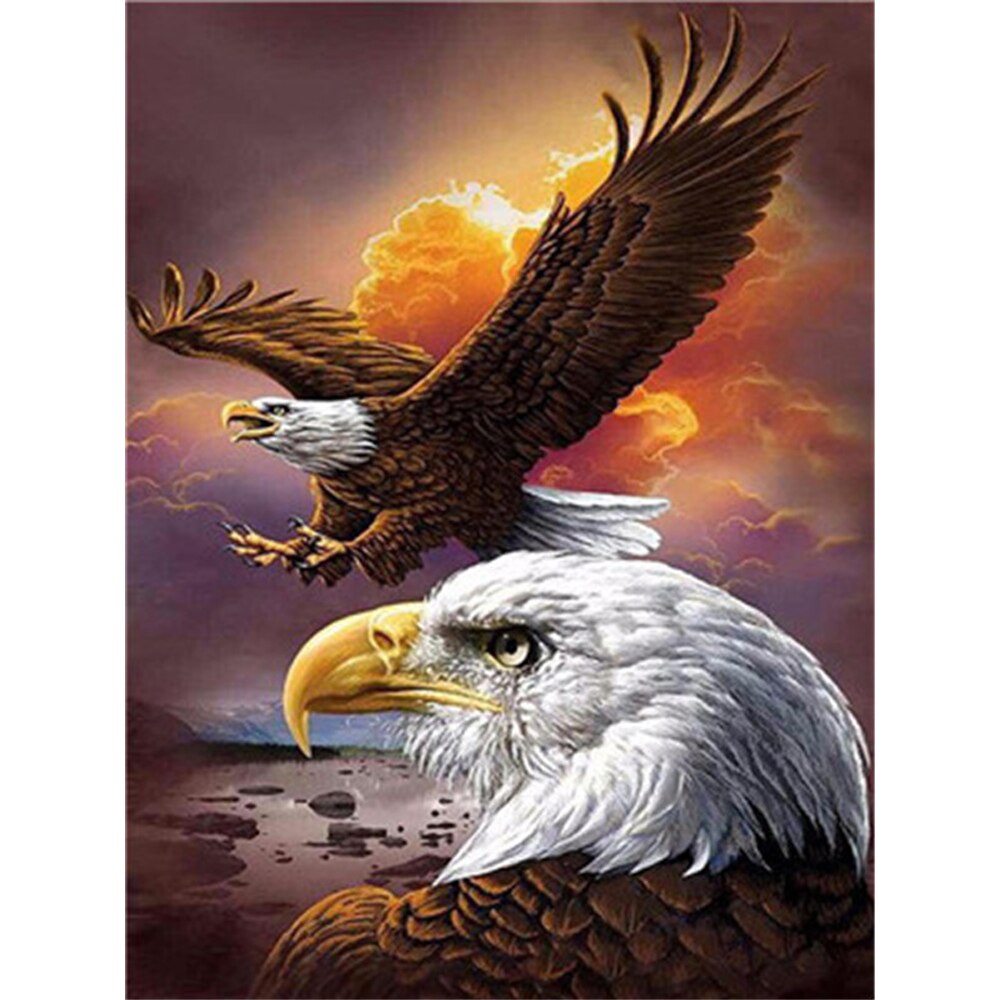 Home decor flying eagle animal painting diy oil painting by numbers kit diy canvas painting unique for adults and children: 50x65cm No Frame