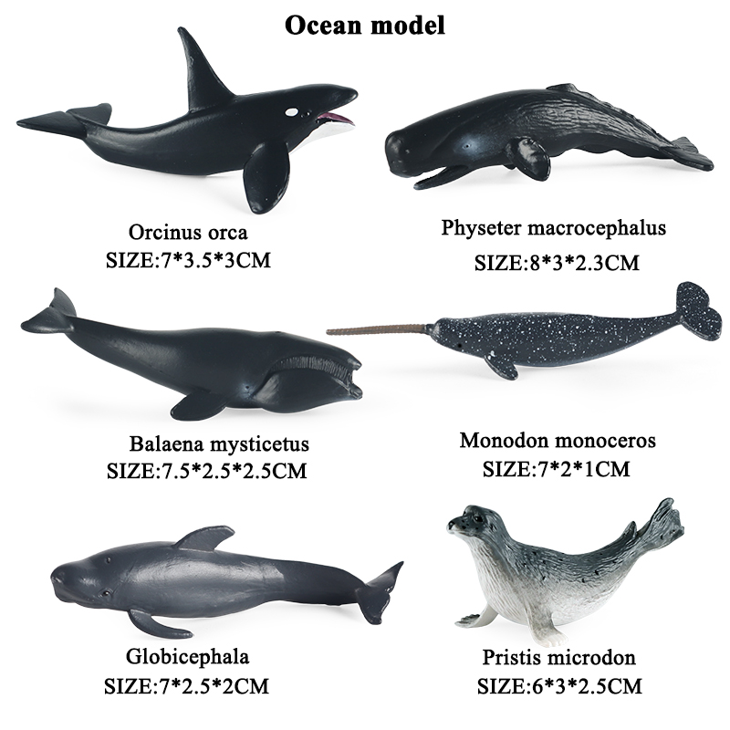 Oenux Zee Leven Onderwater Wereld Walvishaai Krab Schildpad Action Figure Aquarium Ocean Marine Dieren Model Pvc Onderwijs Kinderen Speelgoed: Kastanjebruin