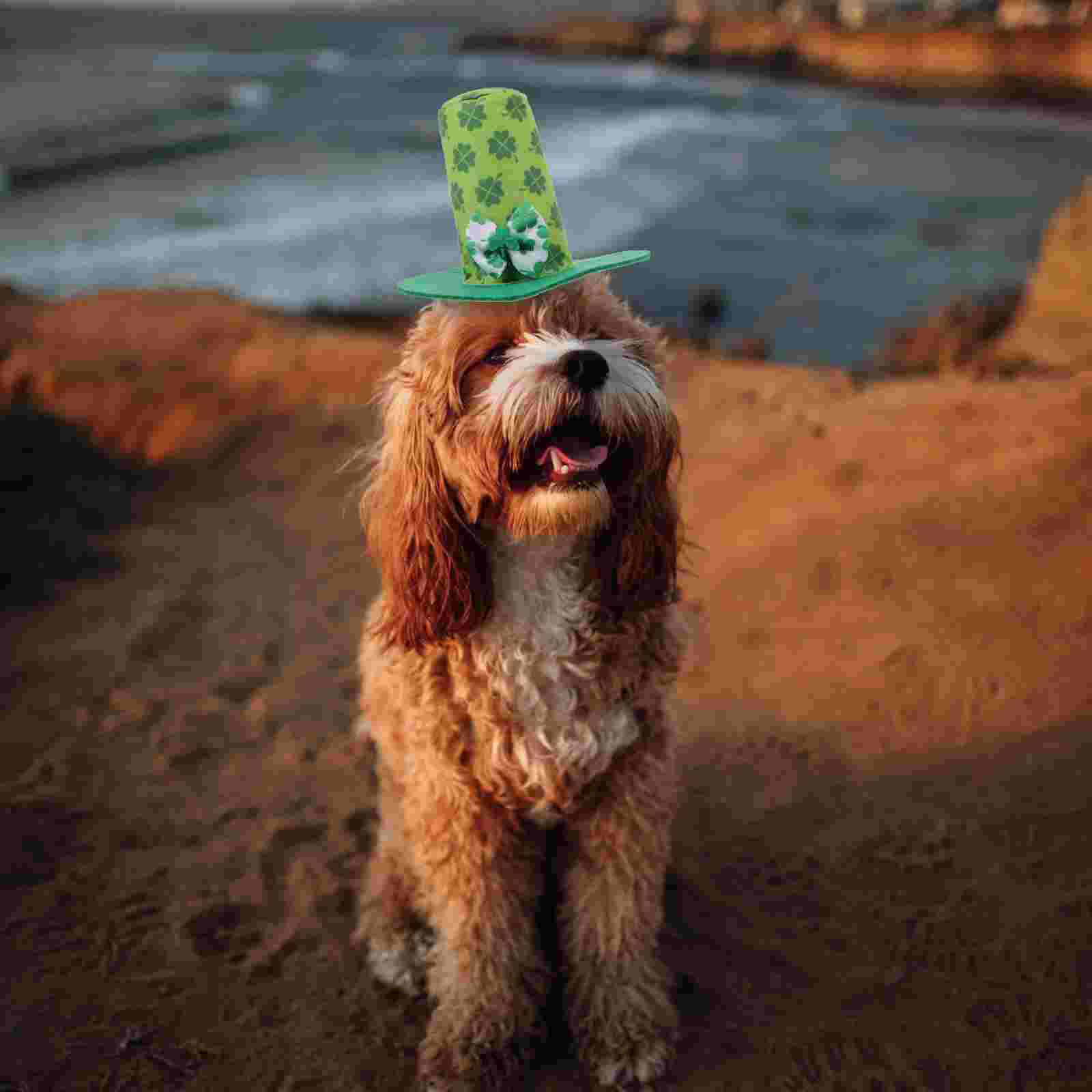 Festival Pet Headgear Dogs Headwear Clovers Patterned Hat Dog Decorative Hat for St. Patrick&#39;s Day Party Dogs Home