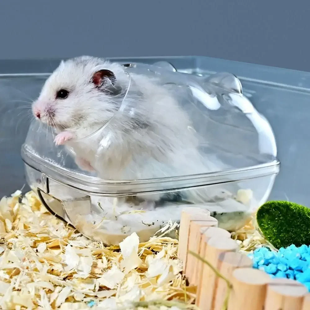 Gjennomsiktig plast lite badekar egnet til hamstere hamsterbad hamstersandbad museboks