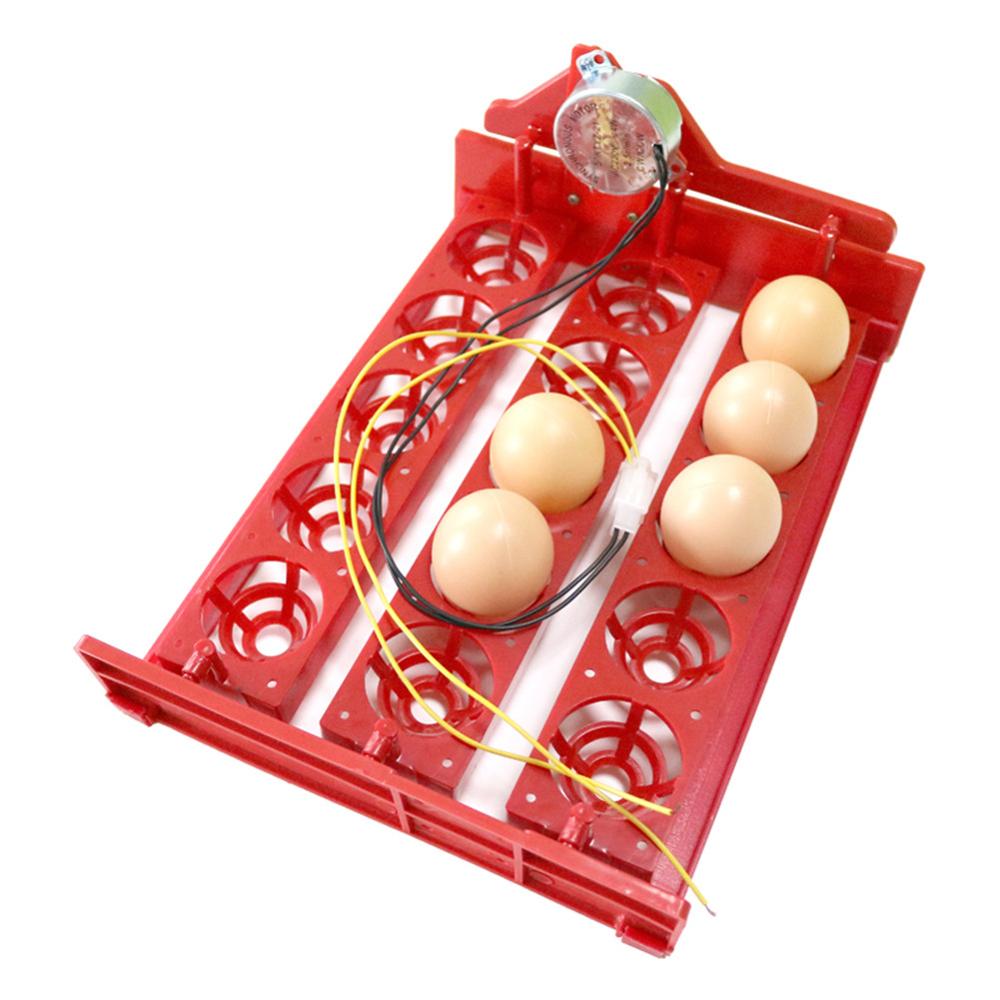 15 Eggs Automatically Incubator Turn Eggs Tray 220V/110V/12V Motor Chicken Birds Eggs Hatching Equipment Poultry Incubator
