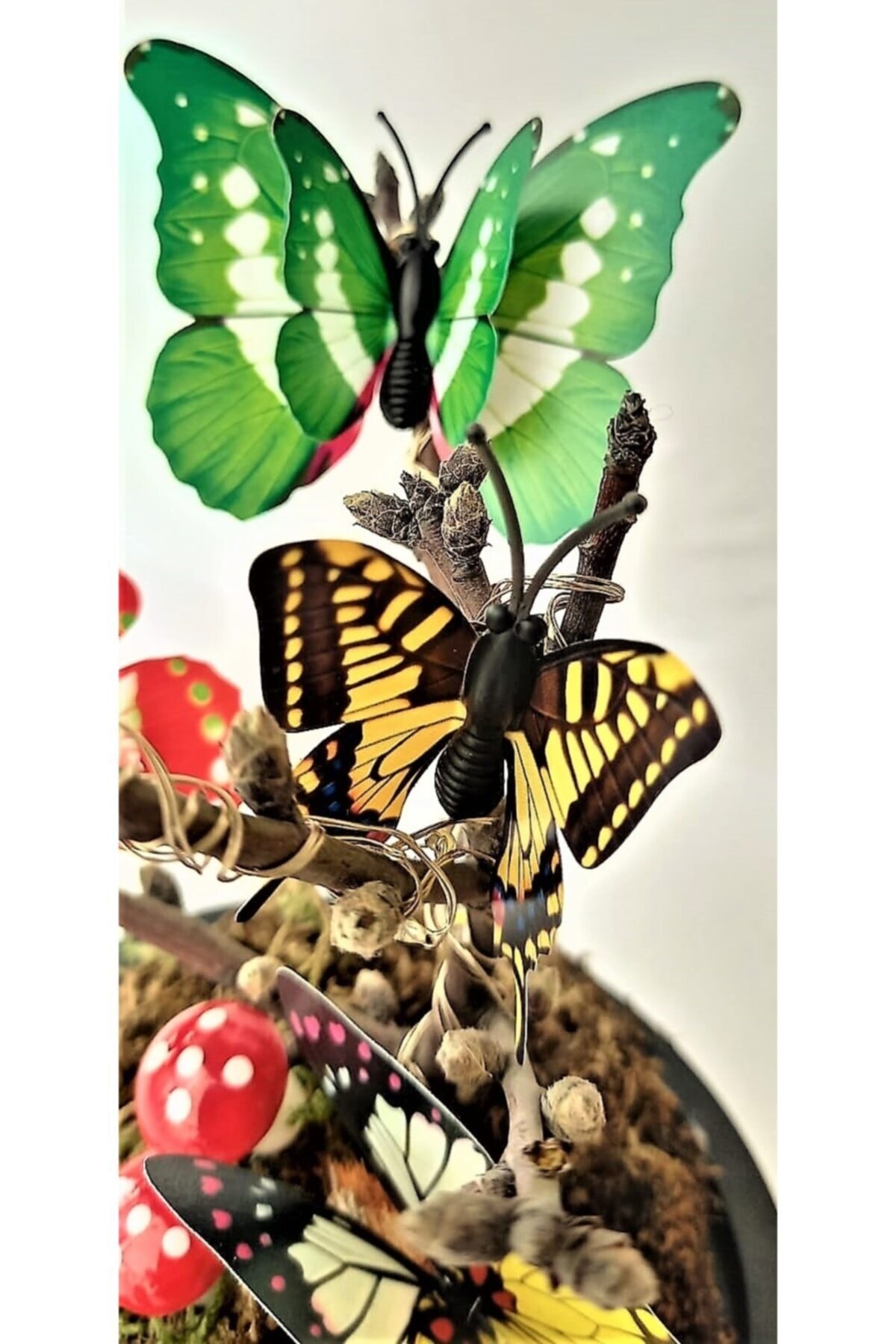 Vase lumineux avec papillon, spécial, décoratif