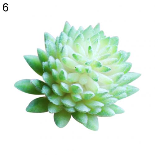 Mini bonsái Artificial de plástico para decoración de hogar y oficina, plantas suculentas de Echeveria, 1 unidad: 6