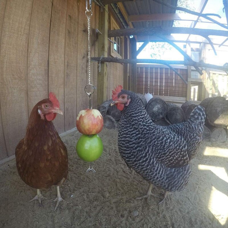 Praktiske kyllingegrøntsker spydfrugtholder til høns kæledyr kylling grøntsag hængende føder legetøj til høns store fugle - sølv