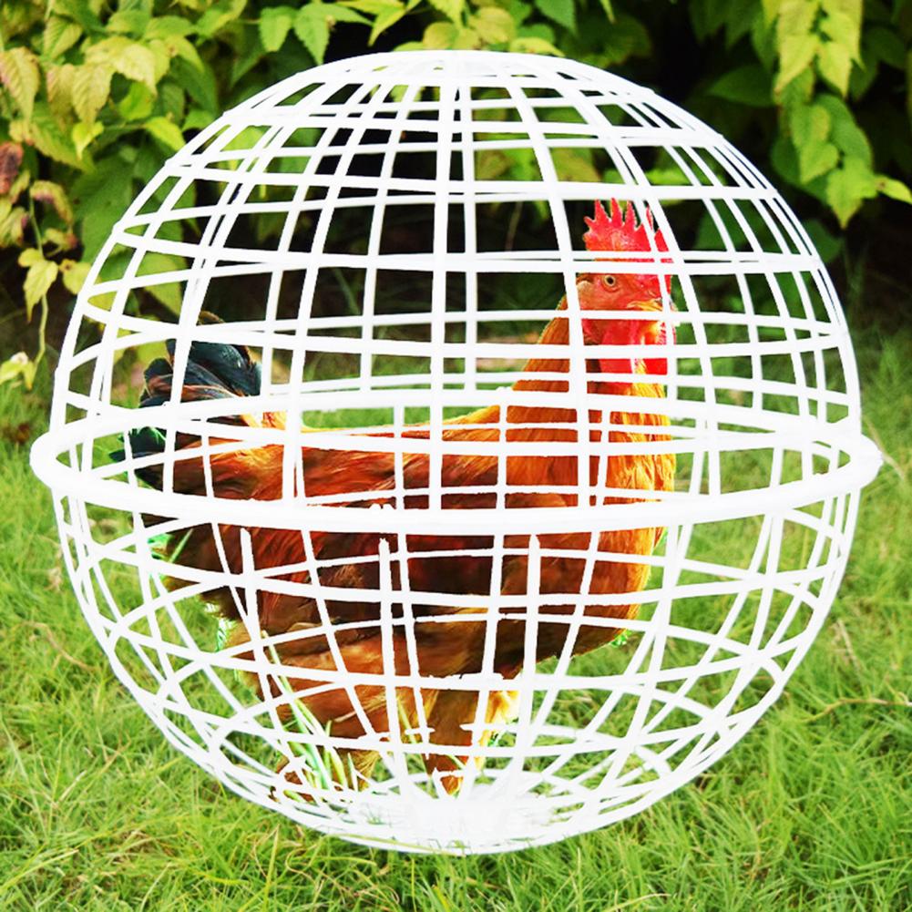Ball Shaped Movable Chicken House Rollable Poultry Enclosure Round Hutch Plastic Chicken Rolling Cage for Chicks Rabbits Birds