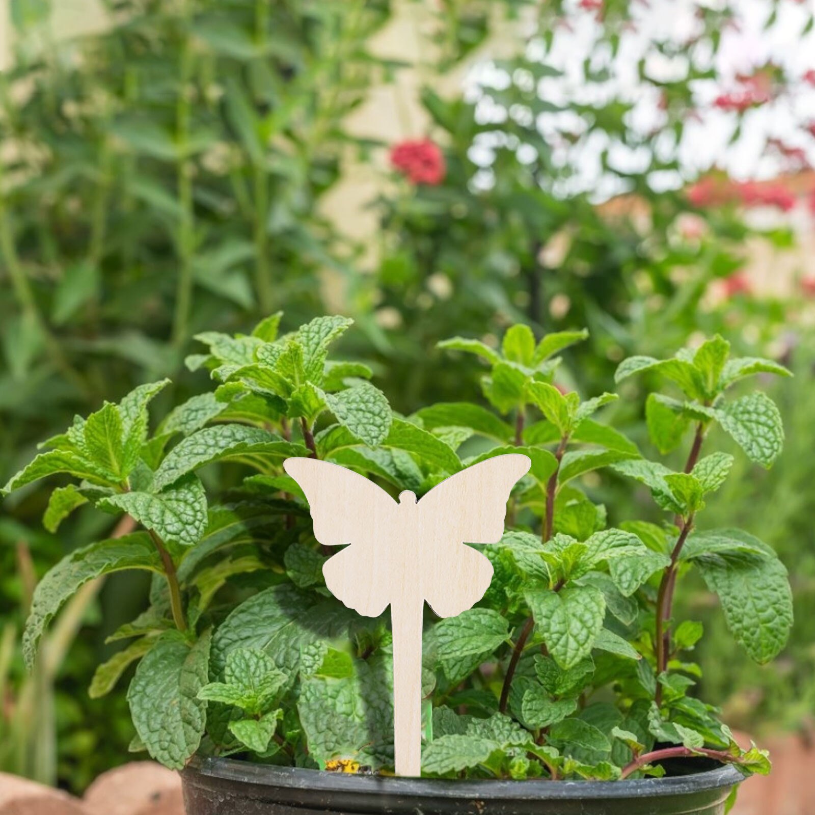 Letrero de madera para plantas, etiqueta decorativa para jardín de hadas, puede escribir en maceta, 10 piezas,