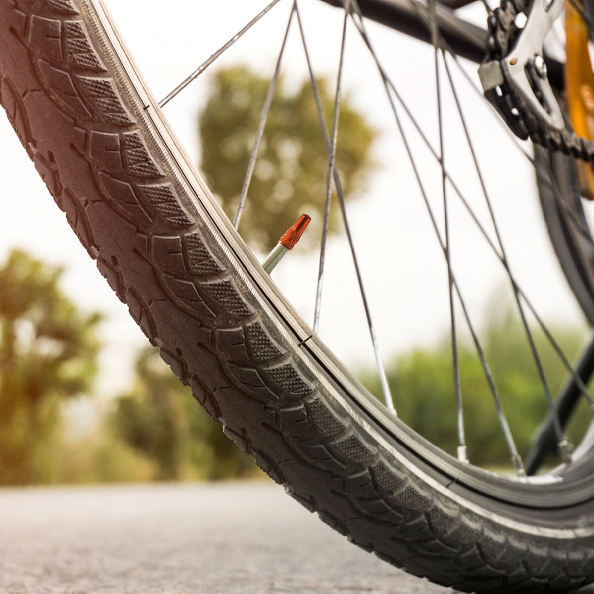 Vorcool 6 stk sykkel aluminiumslegering franske ventilhetter for mtb landeveissykkel terrengsykkel dekk luftventilhetter støvdeksler (oransje)