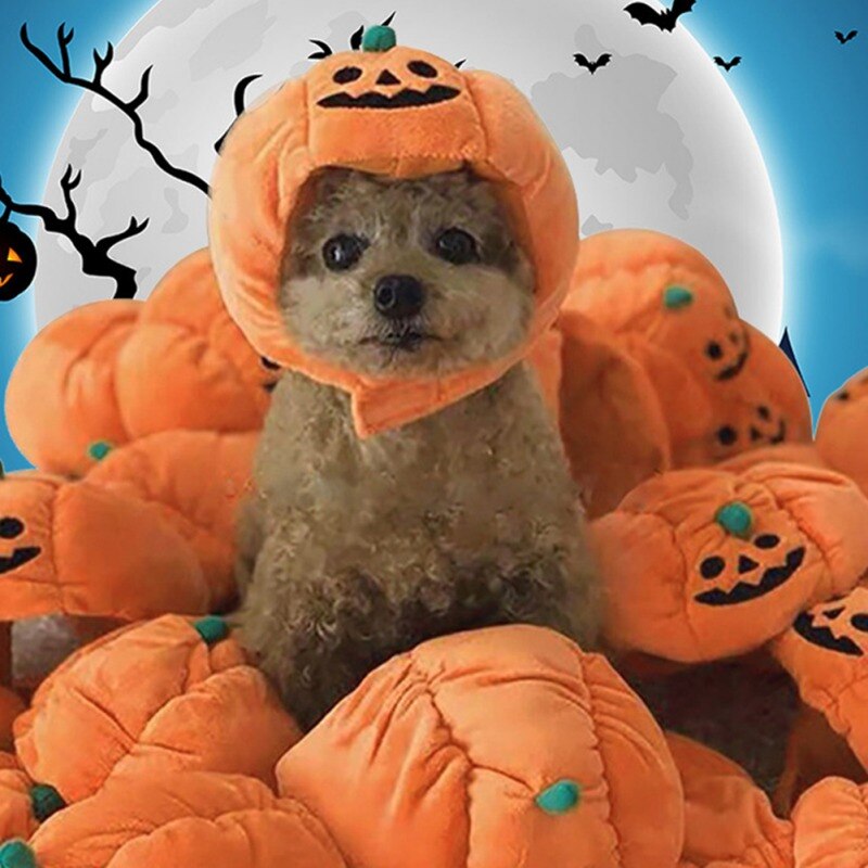 Leuke Pet Halloween Festival Jurk Up Pompoen Hoed Goedkope Huisdier Accessoires Caps Voor Honden Hoeden Huisdieren Grappig Kostuum Cosplay Huisdier hond H