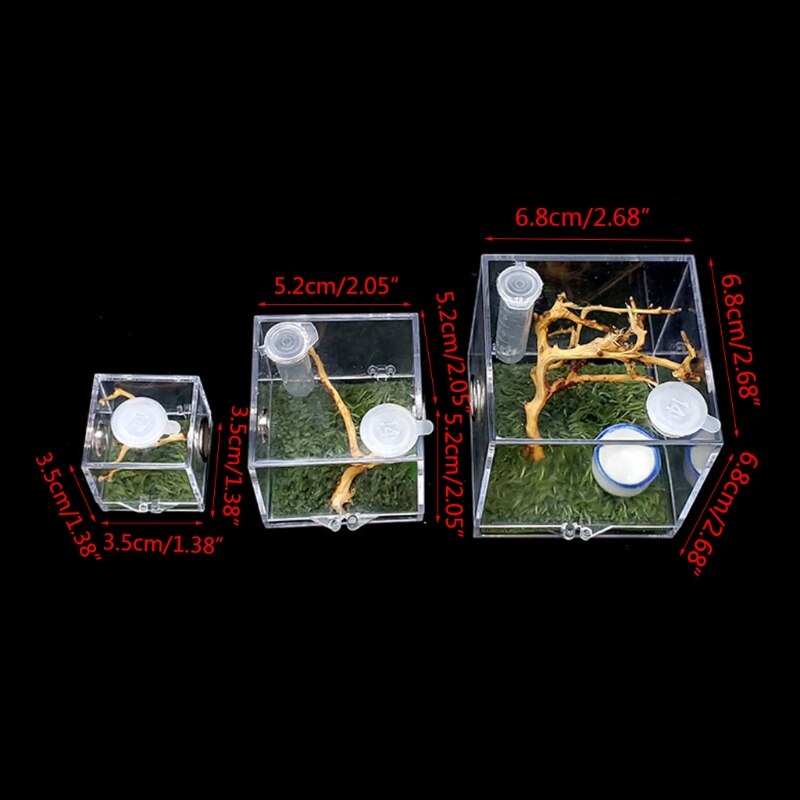 Jumping Spider Habitat Acrylic Feeding Cage Nano Terrarium with Arboreal for Small Reptiles Clear with 360 Degree View