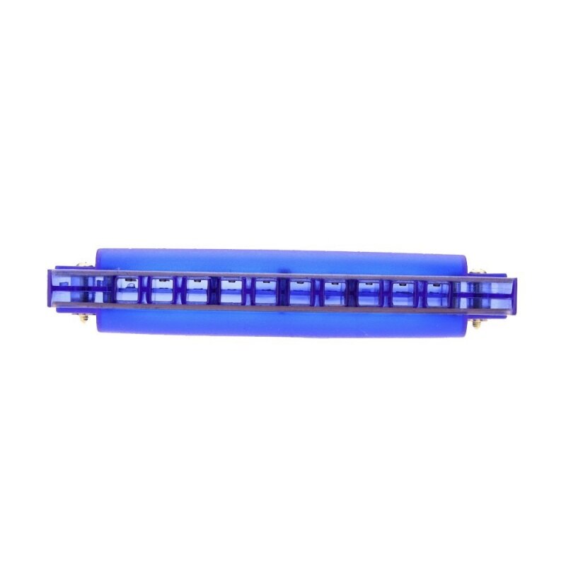 Diatonische Harmonica 10 Gaten Blues Harp Mondharmonica Sleutel Van C Riet Instrument Met Case Kid Musical Speelgoed Blauw