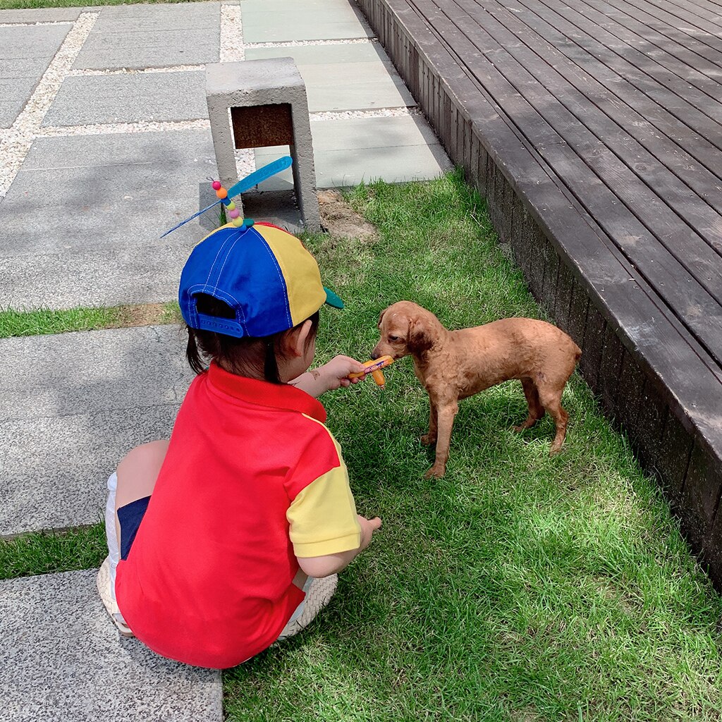 Rainbow Propeller Spinner Hat with Adjustable Hat Snap Back - Costume Accs