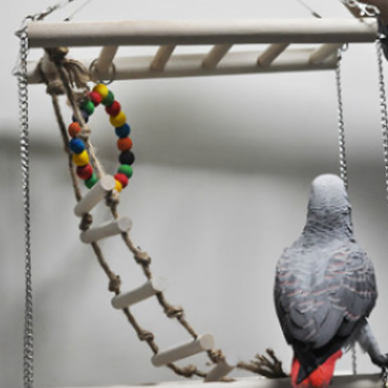 1pcs Wooden Small Parrot Rat Toy Bridge Wooden Ladder Hamster Bird Cage Accessories Feeding Birds Nest Hoose