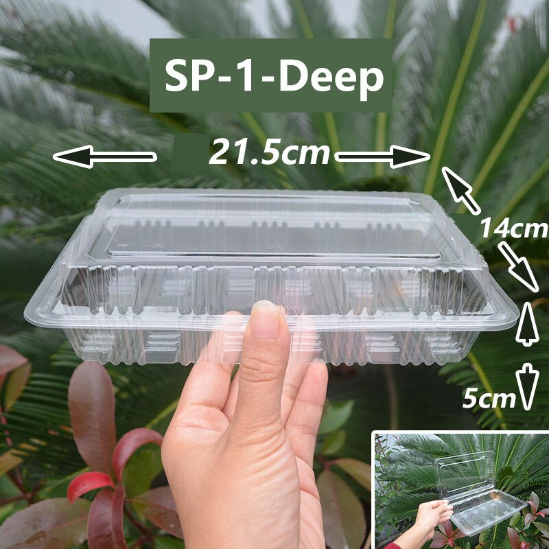 100Pack Disposable Clear Plastic Containers Transparent Box for Dessert Fruit Cake Salad Sandwiches Take Out Box: SP-1-Deep